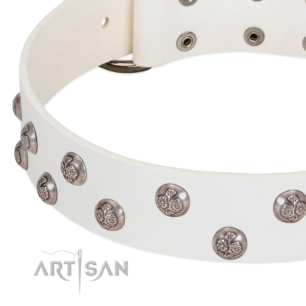 Leather dog collar with corrosion proof buckle and embellishments