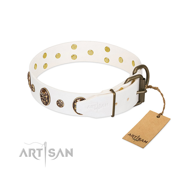 Corrosion proof embellishments on full grain leather dog collar for your doggie