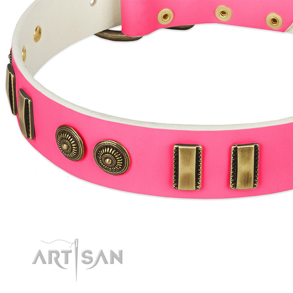 Corrosion resistant studs on full grain genuine leather dog collar for your doggie