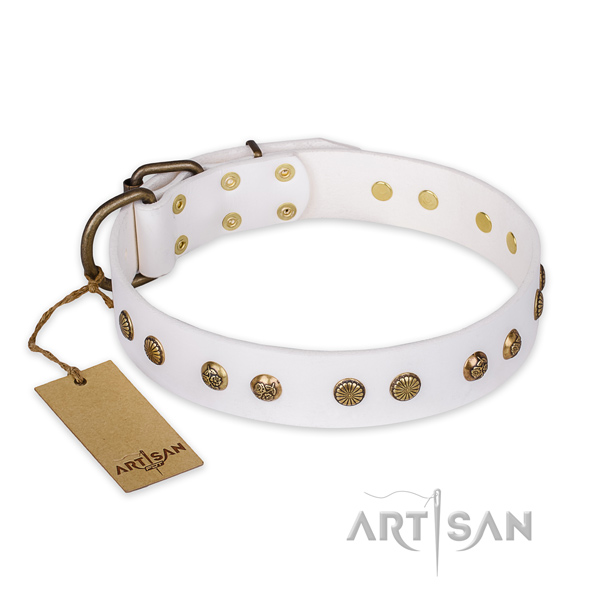 Fine quality full grain natural leather dog collar with rust resistant fittings