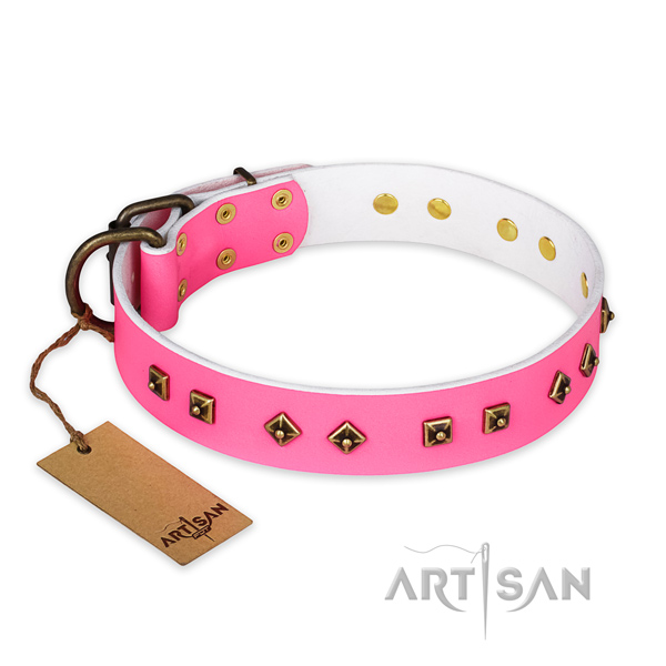 Stylish full grain natural leather dog collar with strong fittings