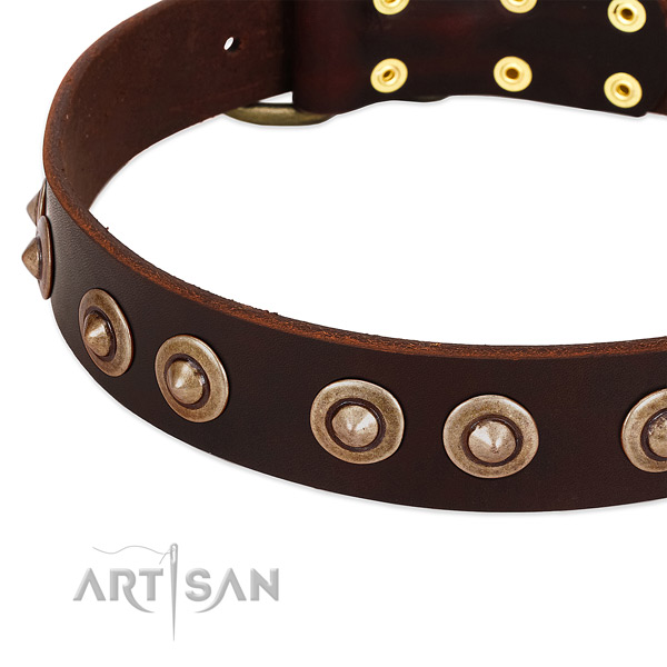 Rust resistant traditional buckle on genuine leather dog collar for your dog