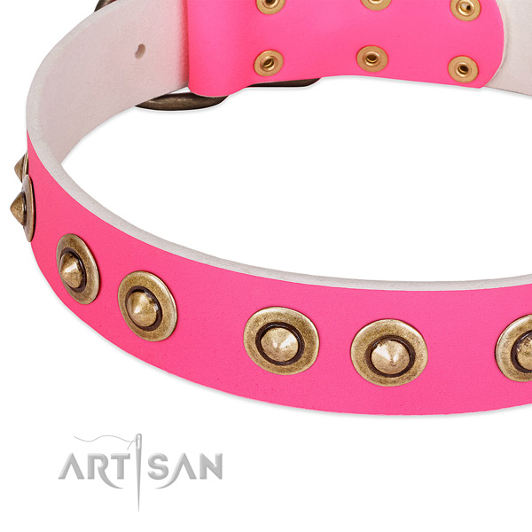 Corrosion resistant adornments on full grain leather dog collar for your doggie