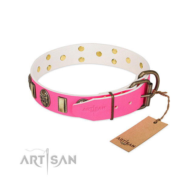 Durable traditional buckle on genuine leather dog collar for your canine