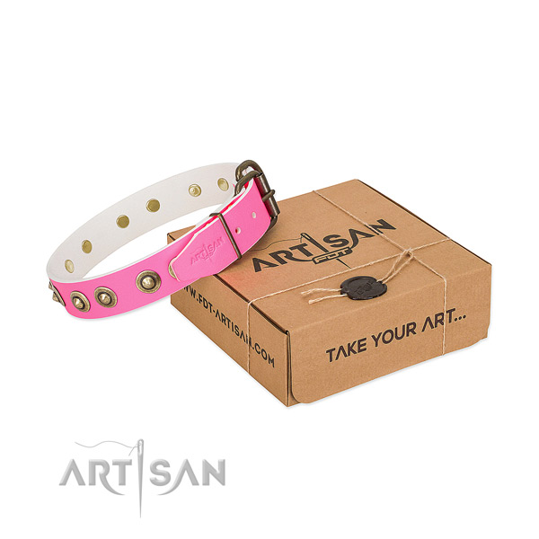 Adorned full grain leather collar for your lovely dog