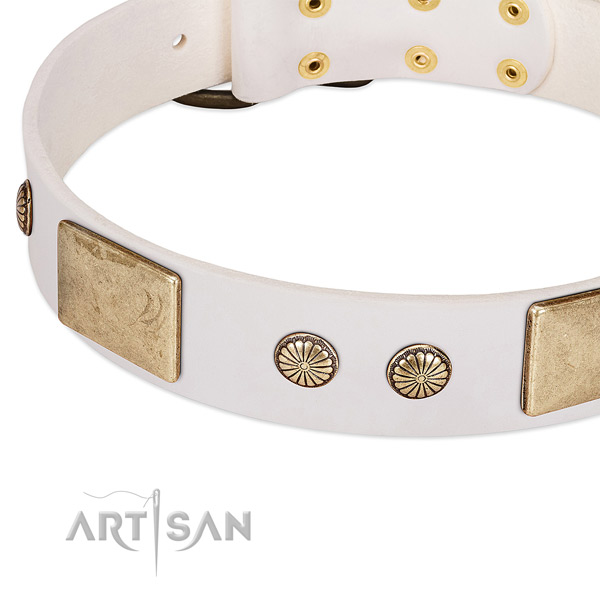 Durable fittings on genuine leather dog collar for your pet