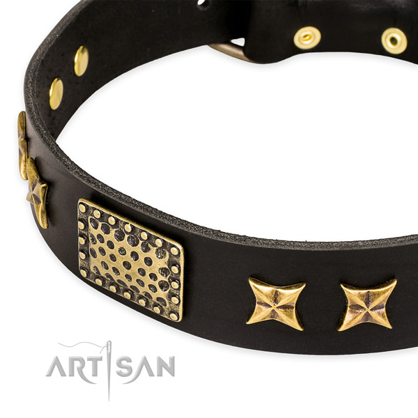 Natural genuine leather collar with rust resistant buckle for your beautiful four-legged friend