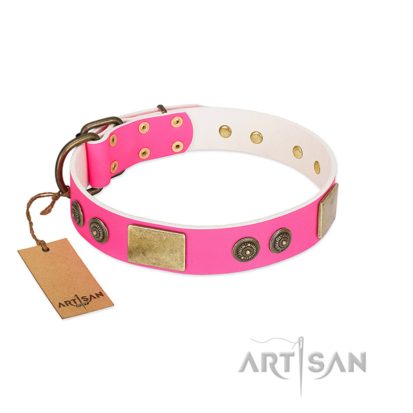Stylish full grain genuine leather dog collar for handy use