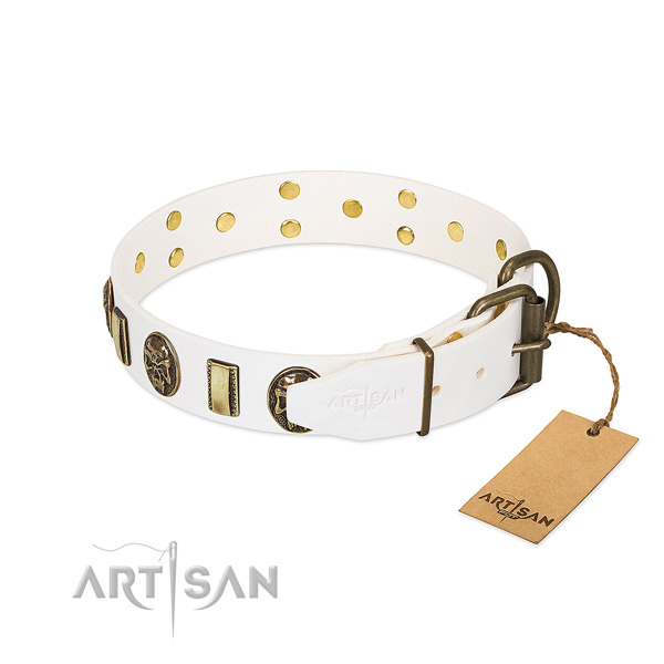 Reliable D-ring on full grain leather collar for stylish walking your doggie