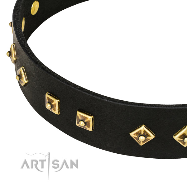 Impressive full grain natural leather collar for your attractive four-legged friend