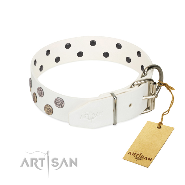 Exquisite studs on full grain natural leather collar for your canine