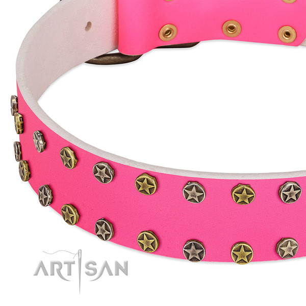 Quality full grain leather collar with studs for your canine