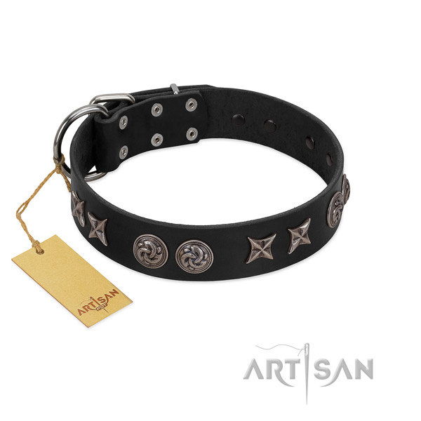 Awesome full grain genuine leather dog collar for walking