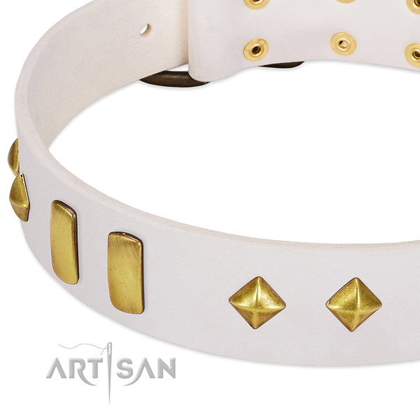 Daily use leather dog collar with awesome adornments