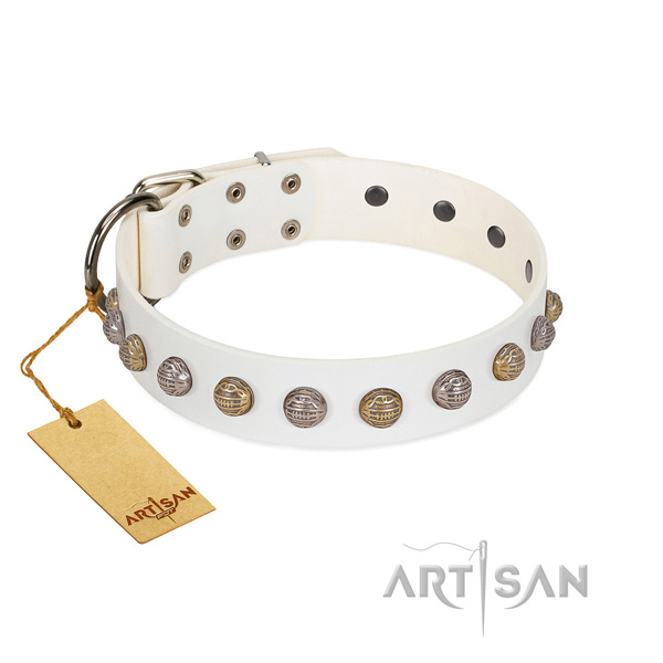 Rust-proof traditional buckle on awesome genuine leather dog collar