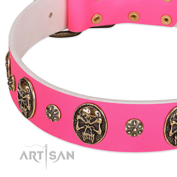 Studded dog collar crafted for your beautiful pet