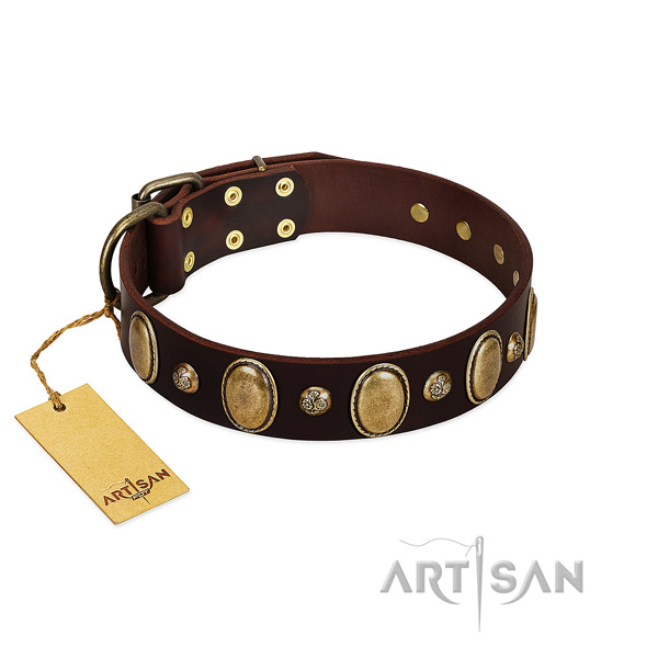 Full grain natural leather dog collar of gentle to touch material with extraordinary decorations