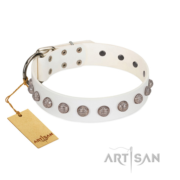 Strong fittings on genuine leather dog collar for everyday use