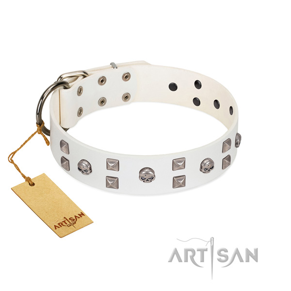 Comfy wearing dog collar of genuine leather with inimitable embellishments