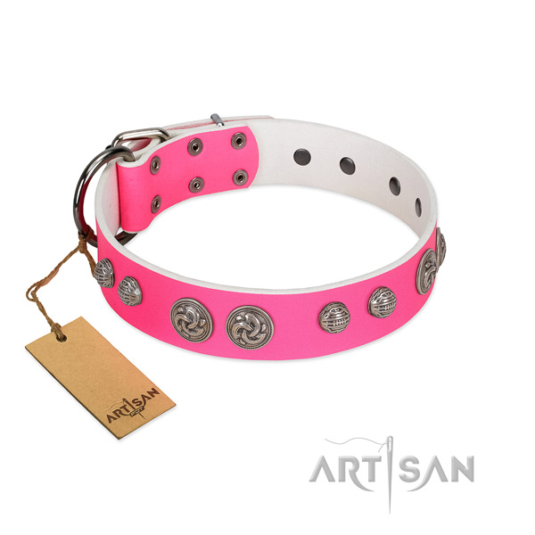 Reliable fittings on genuine leather dog collar for your four-legged friend