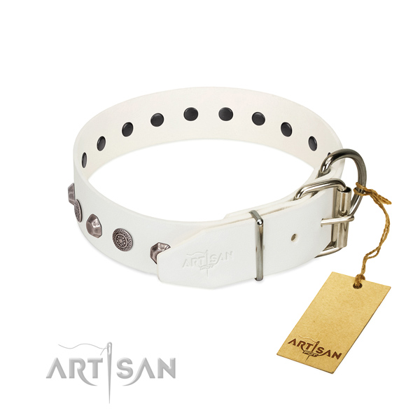 Rust-proof traditional buckle on genuine leather dog collar for everyday walking your four-legged friend