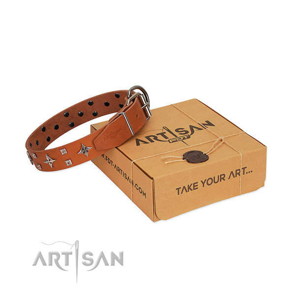 Fashionable leather collar for your four-legged friend walking