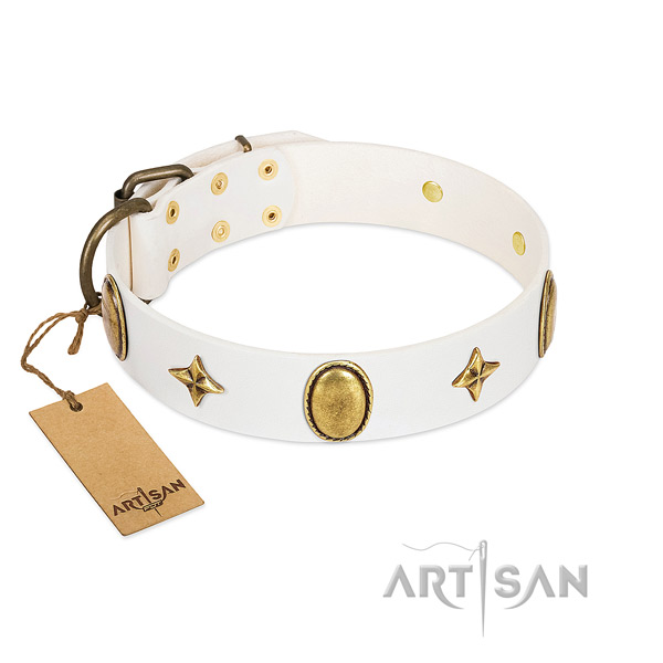 High quality full grain natural leather collar with impressive decorations for your dog