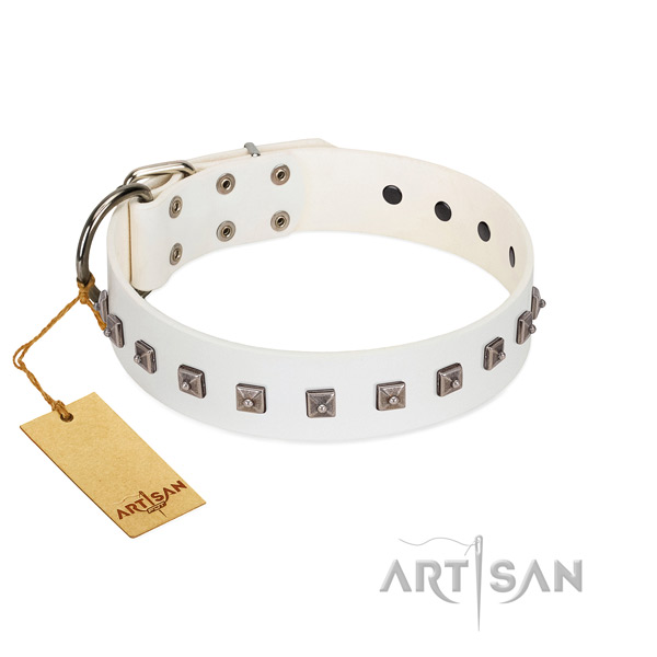 Top notch embellished genuine leather dog collar