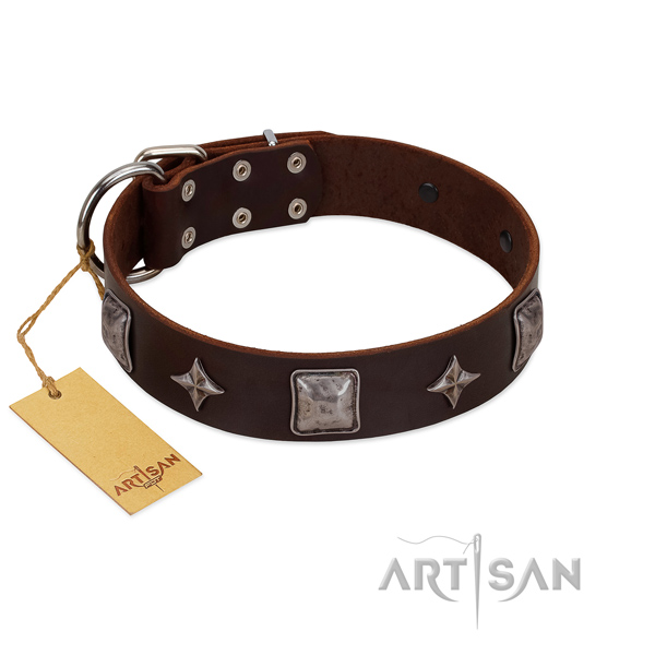 Awesome natural leather collar for your attractive dog