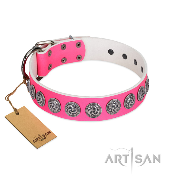 Comfortable full grain natural leather dog collar with strong fittings