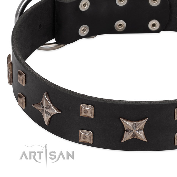Corrosion resistant buckle on genuine leather collar for stylish walking your canine