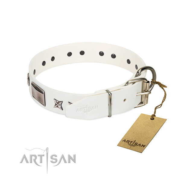 Stylish design collar of full grain leather for your beautiful canine