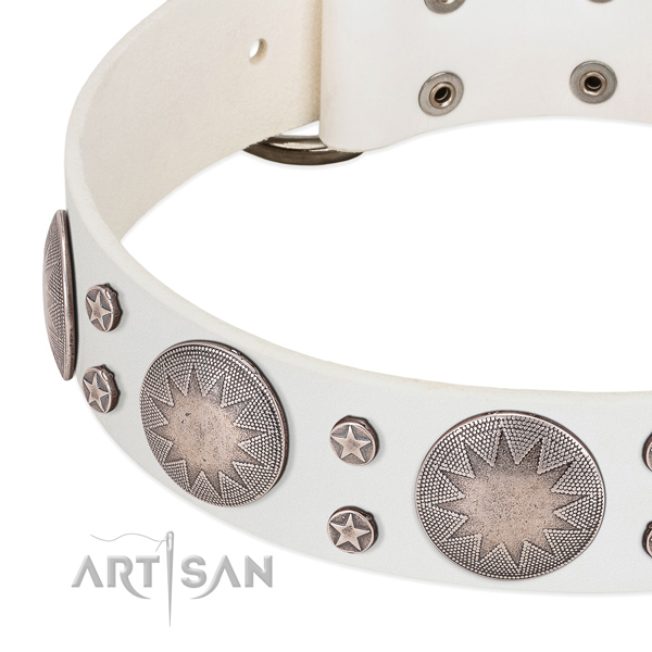 Unique full grain leather dog collar with rust resistant decorations