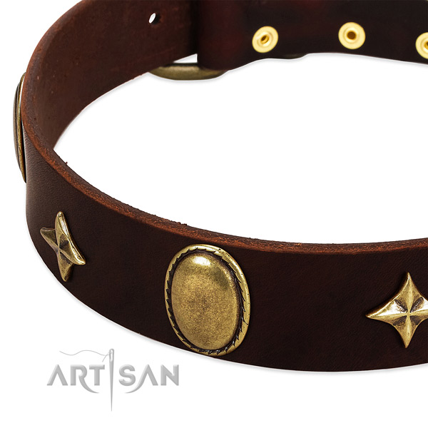 Gentle to touch natural leather dog collar with corrosion resistant traditional buckle