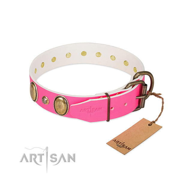 Fancy walking high quality full grain natural leather dog collar