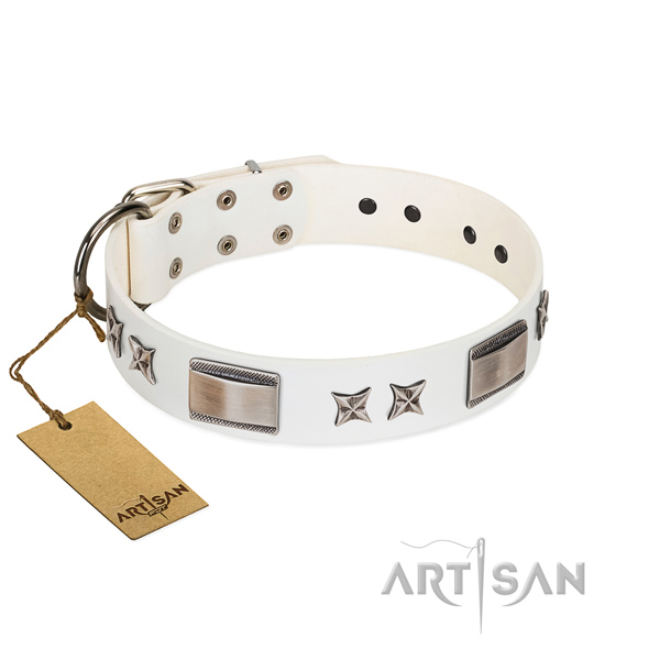 Adorned dog collar of full grain genuine leather
