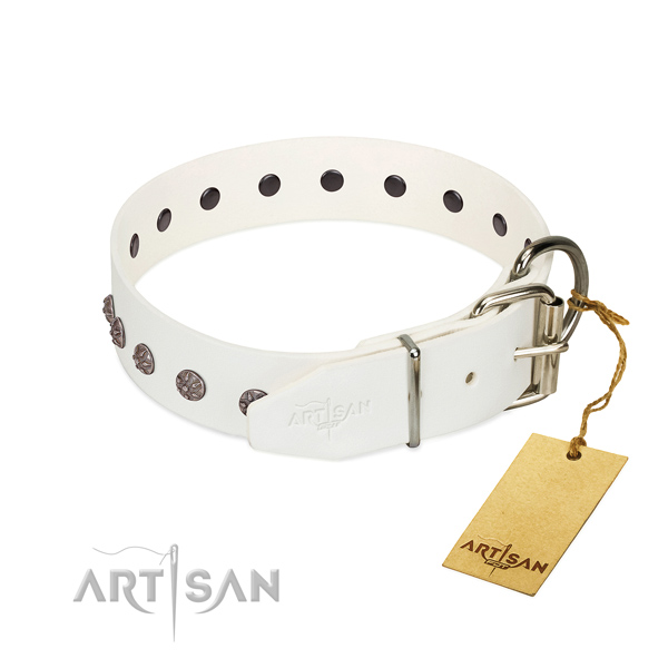 Flexible full grain genuine leather dog collar with adornments for your pet