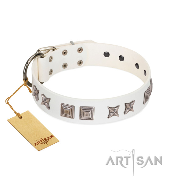 Full grain leather dog collar with fashionable decorations created dog