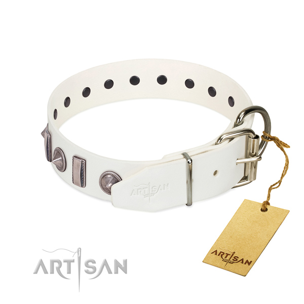 Walking full grain genuine leather dog collar with stylish embellishments