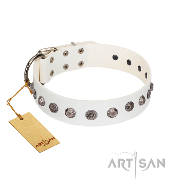 Durable fittings on leather dog collar for basic training your canine