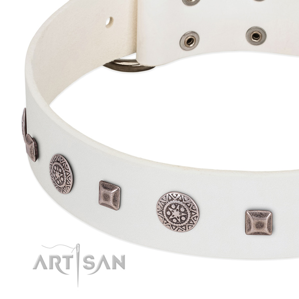 Corrosion resistant D-ring on full grain leather dog collar for walking