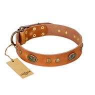 "Sun Beams" FDT Artisan Tan Leather Cane Corso Collar with Decorations