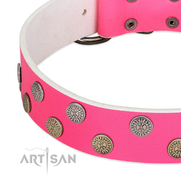Quality leather dog collar with decorations for fancy walking