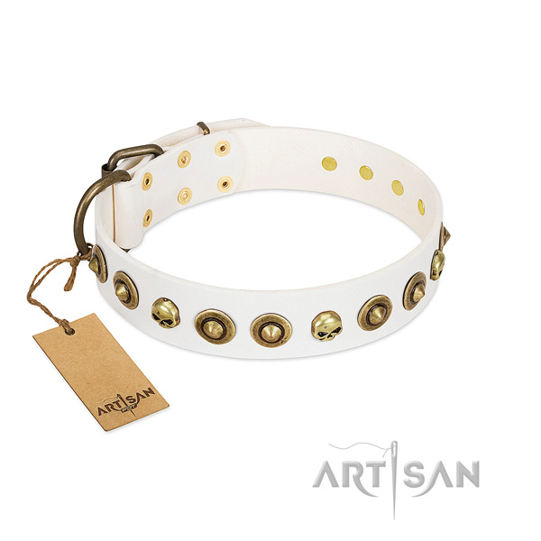 Natural leather collar with awesome embellishments for your canine