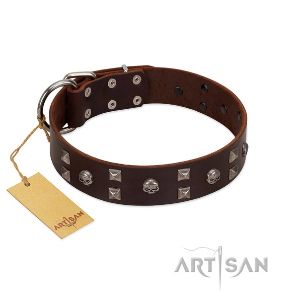 Comfortable wearing dog collar of genuine leather with inimitable decorations