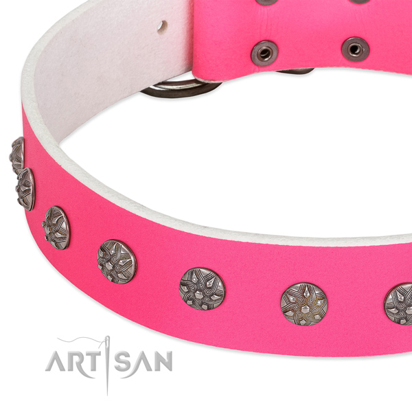 Top rate full grain leather dog collar with adornments for your dog
