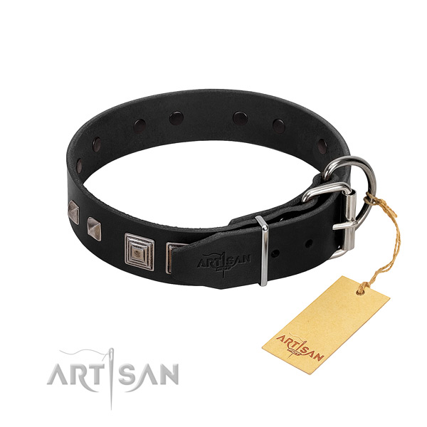 Fancy walking natural leather dog collar with impressive adornments