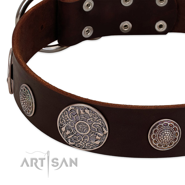 Strong buckle on full grain genuine leather dog collar