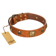 "Knights Templar" FDT Artisan Tan Leather Cane Corso Collar with Skulls and Crossbones Combined with Squares