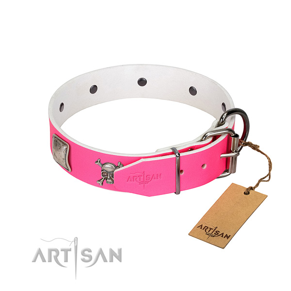 Walking full grain leather dog collar with unusual studs